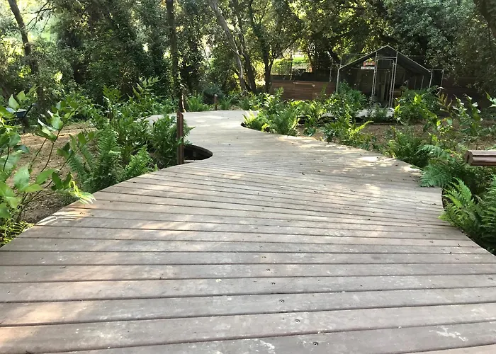 营地 Perchee Dans Les Arbres *