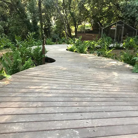 Kamp alanı Perchee Dans Les Arbres *