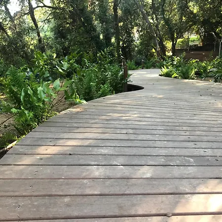 Kamp alanı Perchee Dans Les Arbres