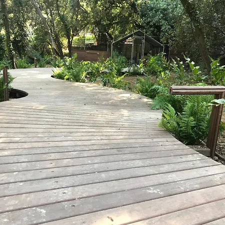 Κάμπινγκ Perchee Dans Les Arbres Κασί