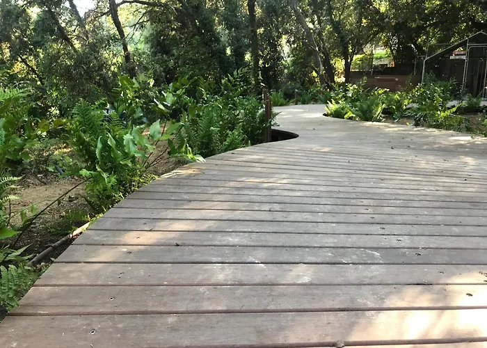 Κάμπινγκ Perchee Dans Les Arbres