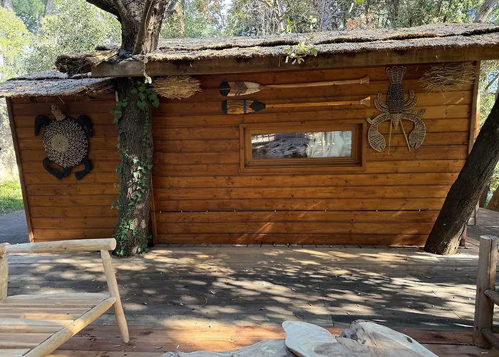 Κάμπινγκ Perchee Dans Les Arbres Κασί