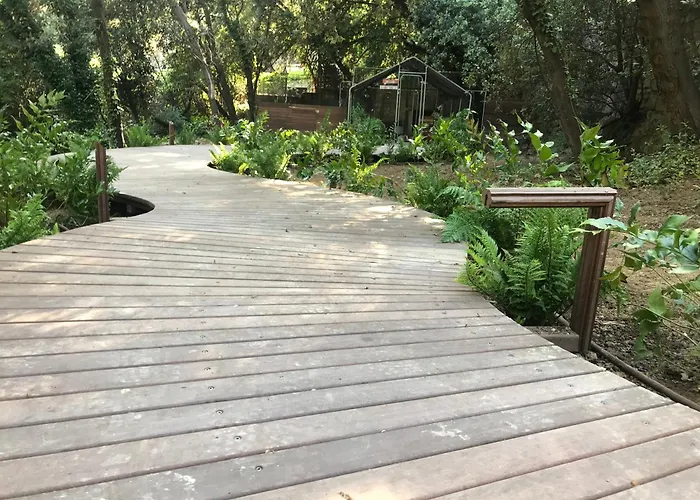 Κάμπινγκ Perchee Dans Les Arbres Κασί